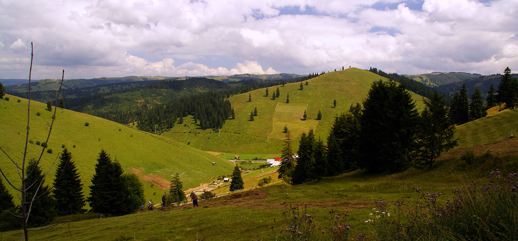 Karpaty Rumuńskie: Góry Ciuc