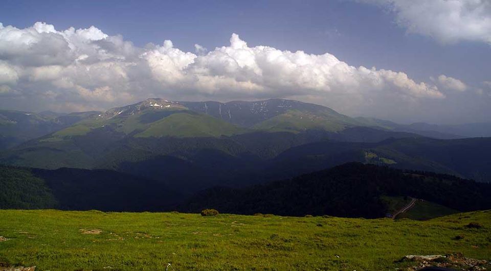 Góry Ţarcu (Munţii Ţarcu)