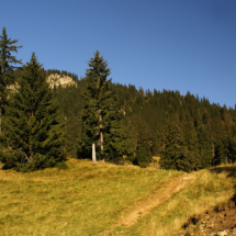 Góry Ţibleş