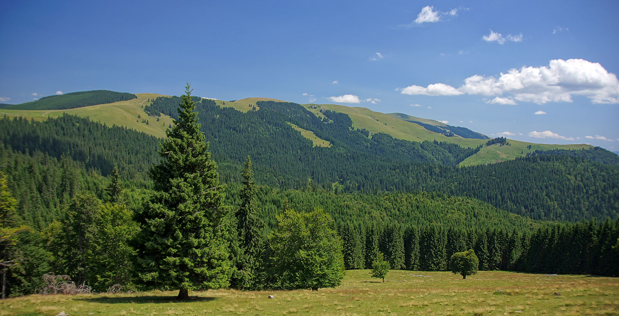 Góry Suhard – Rumunia