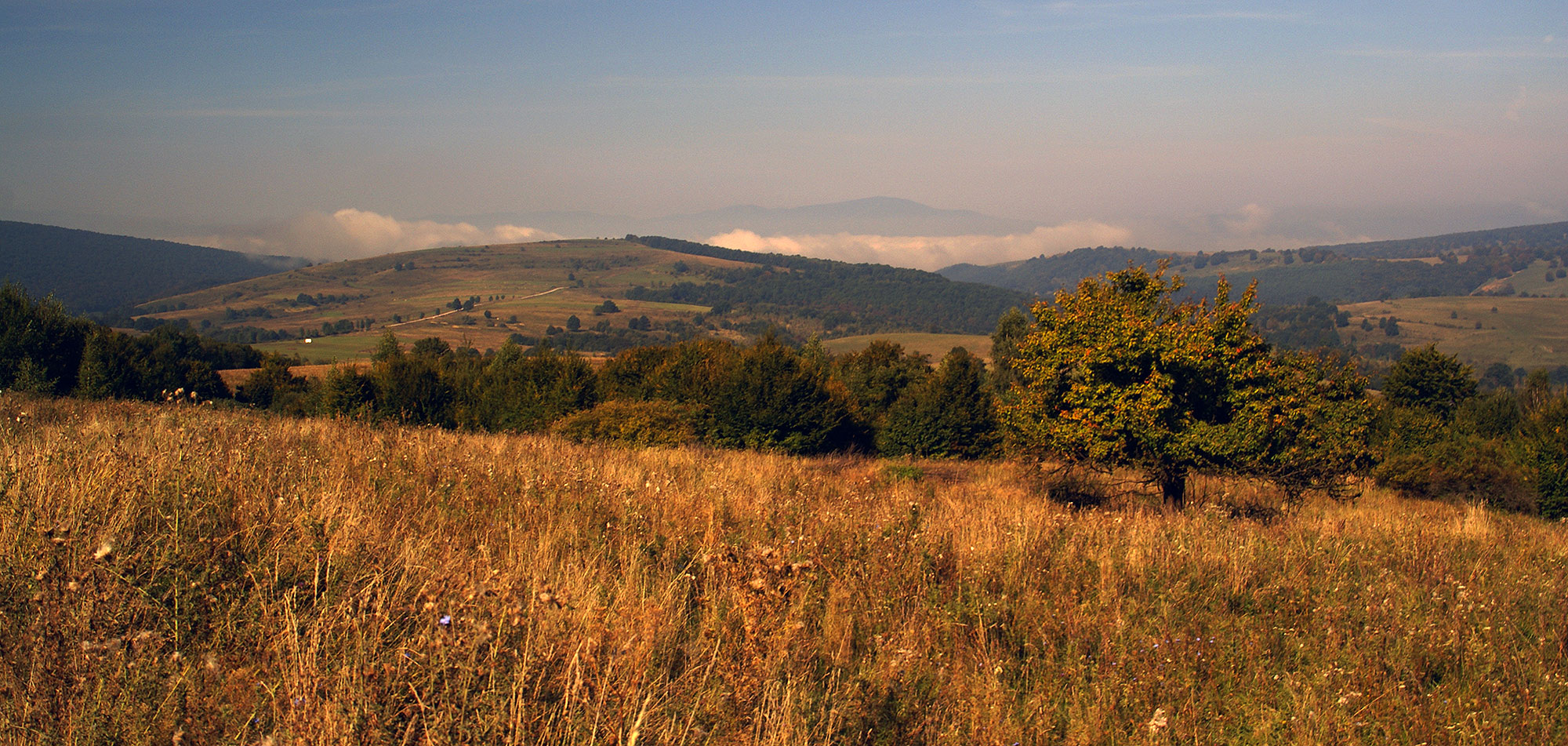 Karpaty Rumuńskie: Góry Baraolt