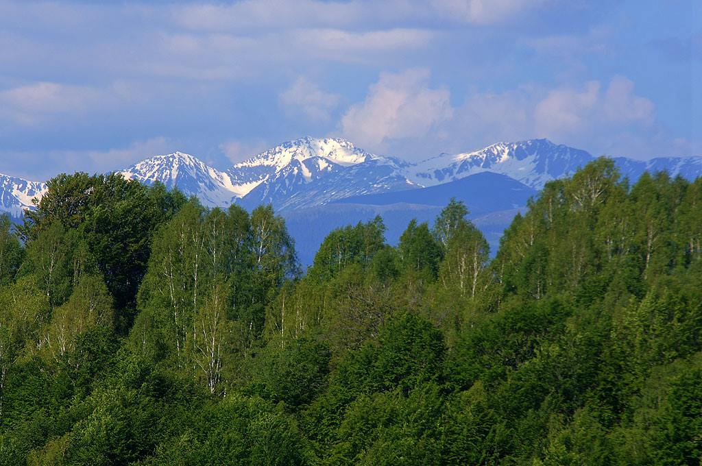 Karpaty Rumuńskie: Park Narodowy Defileul Jiului