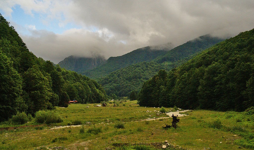 Karpaty Rumuńskie: Park Narodowy Domogled-Valea Cernei