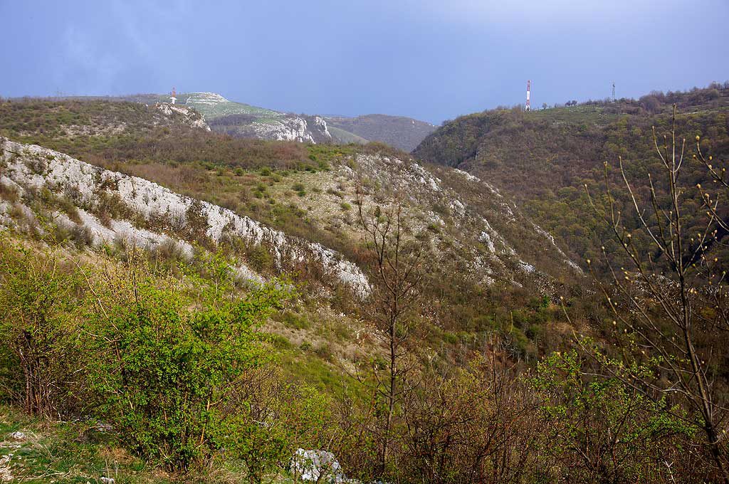 Karpaty Rumuńskie: Park Narodowy Semenic – Cheile Caraşului